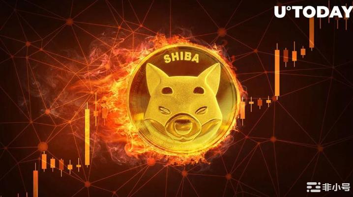 Shiba Inu燃烧率高达 4,600%，这是怎么回事？