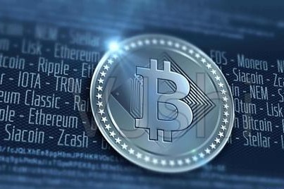 加拿大心理学家乔丹·彼得森似乎转向支持比特币