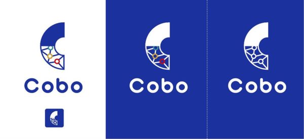 Cobo钱包目前有多少种方式，Cobo钱包是去中心化钱包吗？