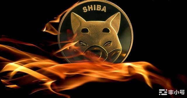 SHIB的二层协议即将上线会让SHIB超过DOGE吗？shib该项目的第二层解决方案Shib