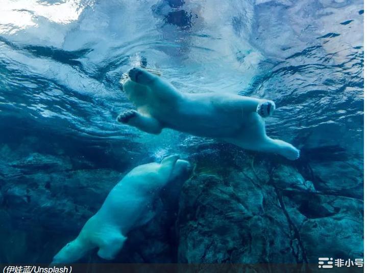 亚洲先行者:比特币暴跌至1月中旬的水平