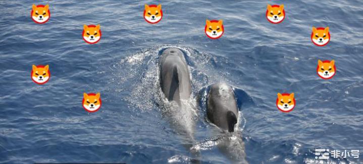 价格大幅反弹，两大鲸鱼捕捞 2560 亿条柴犬