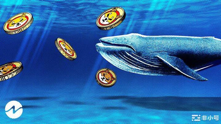 鲸鱼将 3.36 万亿 SHIB 转移到匿名钱包
