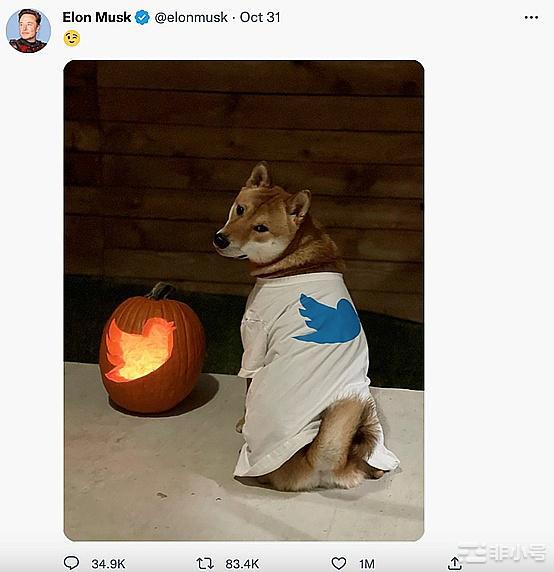 马斯克推特喊话狗狗币 L7或又成为最受追捧的小币种