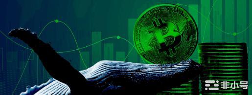 FTX 内爆导致投资者积极增持比特币