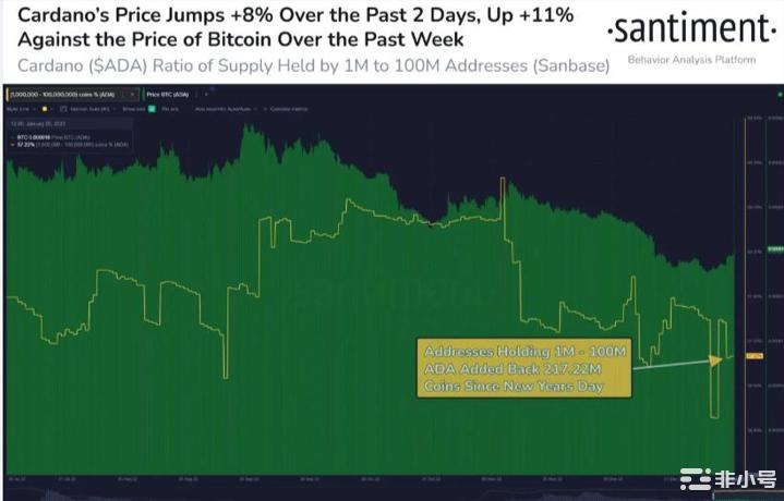 鲸鱼增持对ADA意味着什么?