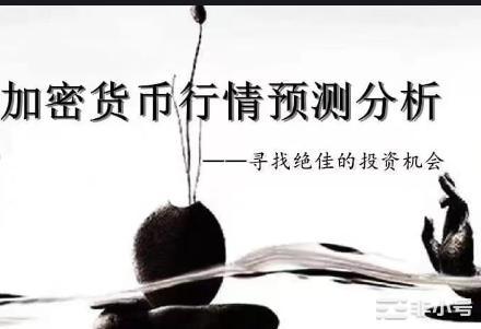 回调开始，上车机会在哪里？