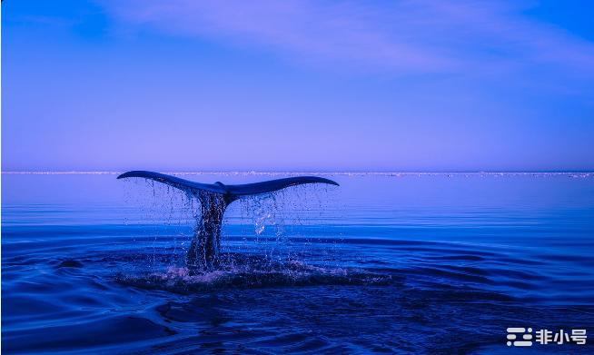 BNB 鲸鱼在稳定币市场震荡中抛售数百万   BUSD