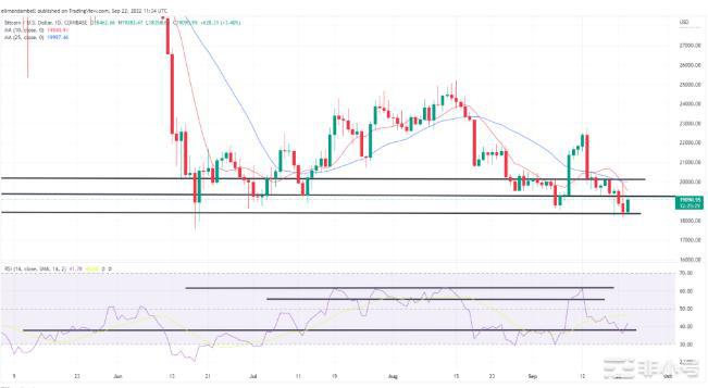 未来几天加密货币价格会上涨?Algorand将走向何方?