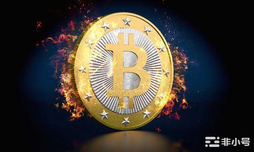 自银行业危机爆发以来市场走高BTC会达到100万美元吗?