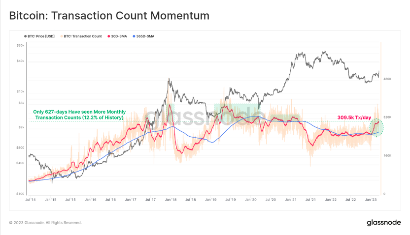 ForesightVentures市场周报:BTC主导市场ARB生态普涨