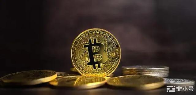 今年重挫60%也不怕!方舟喊话:比特币将飙破100万美元