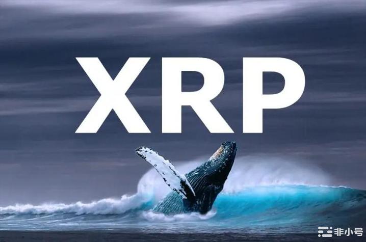 XRP持有者水下鲸鱼继续销售：下一步是什么？