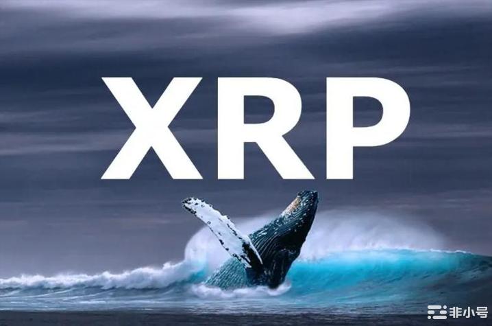 XRP持有者水下鲸鱼继续销售:下一步是什么?