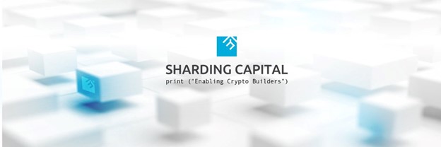 Sharding Capital合伙人：预测2023年Web3的5大增长赛道