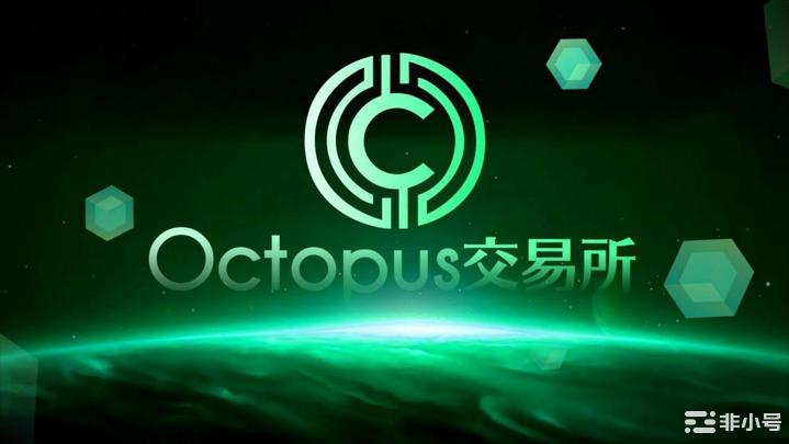 为什么Octopus的量化托管会吸引更专业的投资者