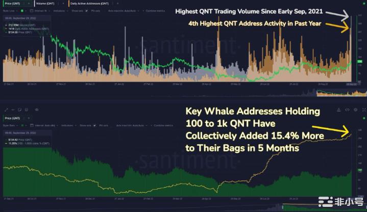 在将 QNT 添加到您的投资组合之前，请考虑这些指标
