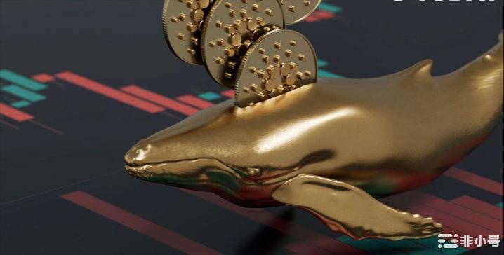 鲸鱼持有 500 万美元，ADA 跻身购买最多的10大资产