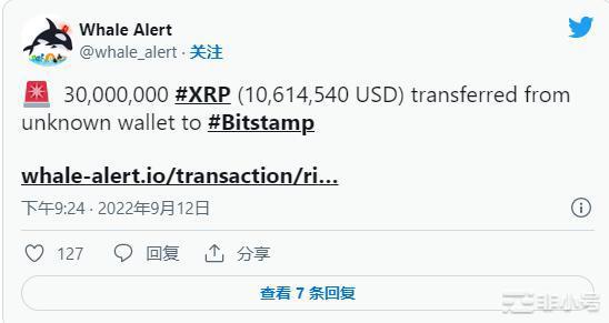 XRP鲸鱼大动作!XRP价格的未来是什么?