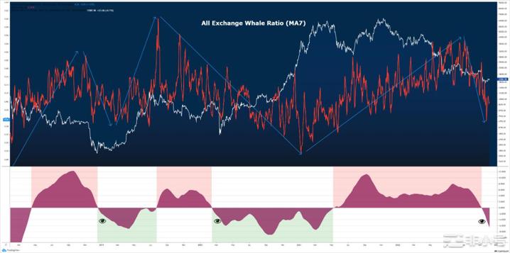  比特币看涨信号：交易所鲸鱼比率急剧下降