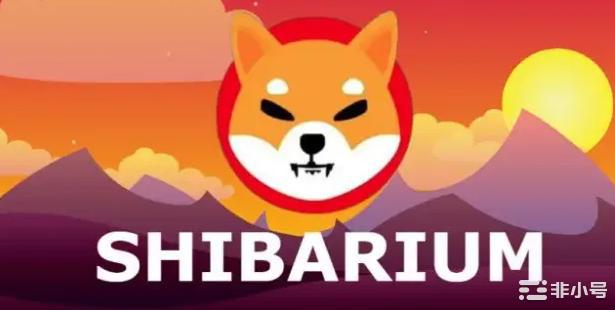 ShibaInu:一种冒着疯狂炒作风险的加密货币!