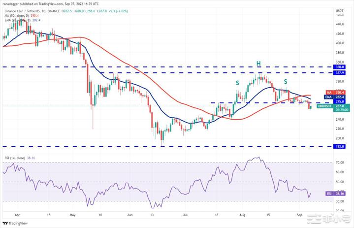 十大个币分析价格分析9/7:BTCETHBNB.....比特币和精选山寨币已跌至关键支撑位