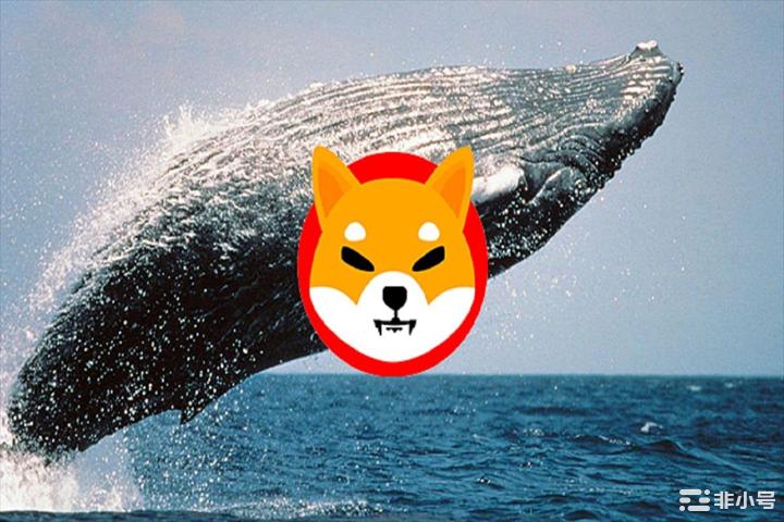 SHIB价格飙升5%是鲸鱼在Shibarium投机中购买
