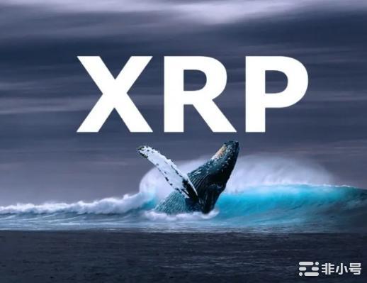 波纹鲸消失：XRP本周价格会下跌吗？