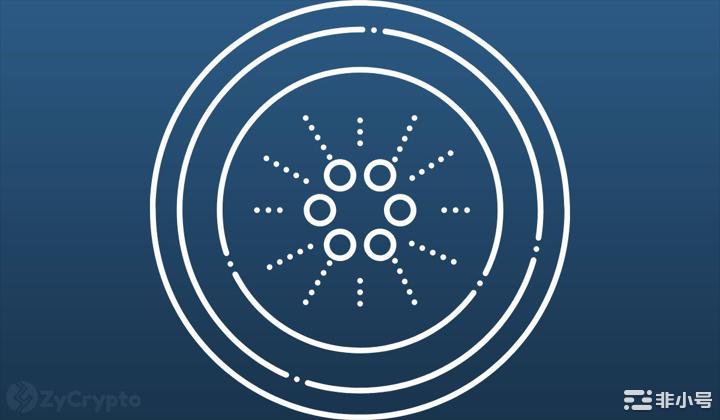 为什么卡尔达诺的2023年预测非常乐观?