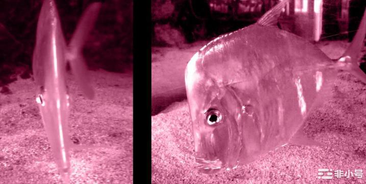 Uniswap治理状态:最小化悖论