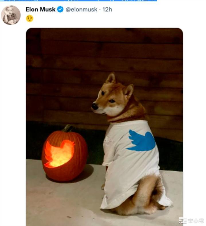 狗狗币能达到10美元吗?