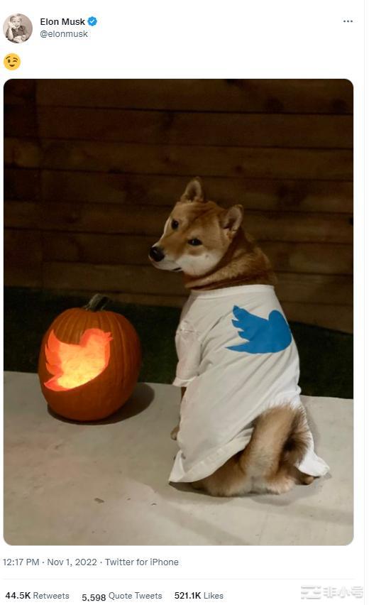 马斯克疯狂暗示看似不靠谱骗局的狗狗币，意欲何为？