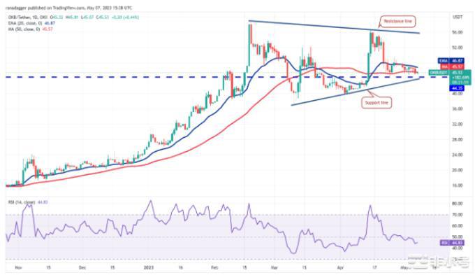 在本周这3个山寨币价格将坐火箭般上涨!