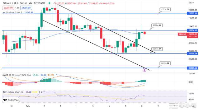 BTCÐ正在上涨它们下一步将走向何方?