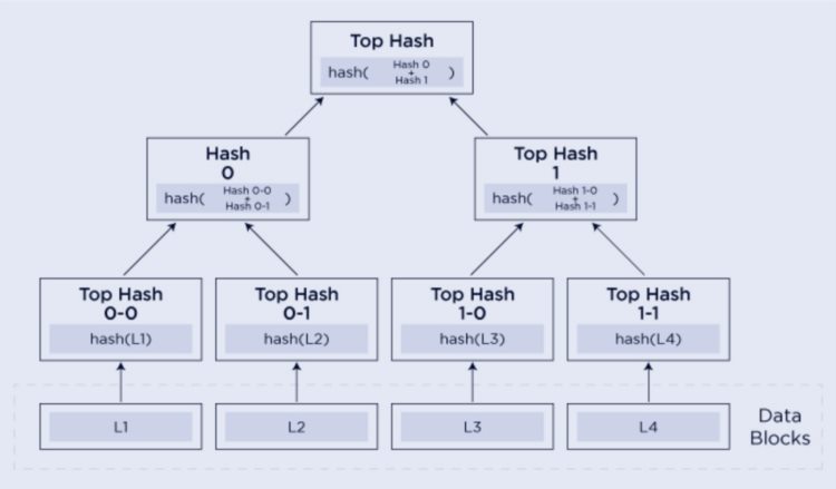 veDAO研究院:Taro协议是否能缓解比特币链的拥堵且享受低Gas费?