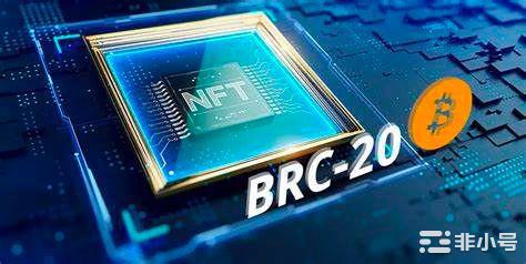 BRC20的热度持续炒作BTC概念中还有哪些财富密码？