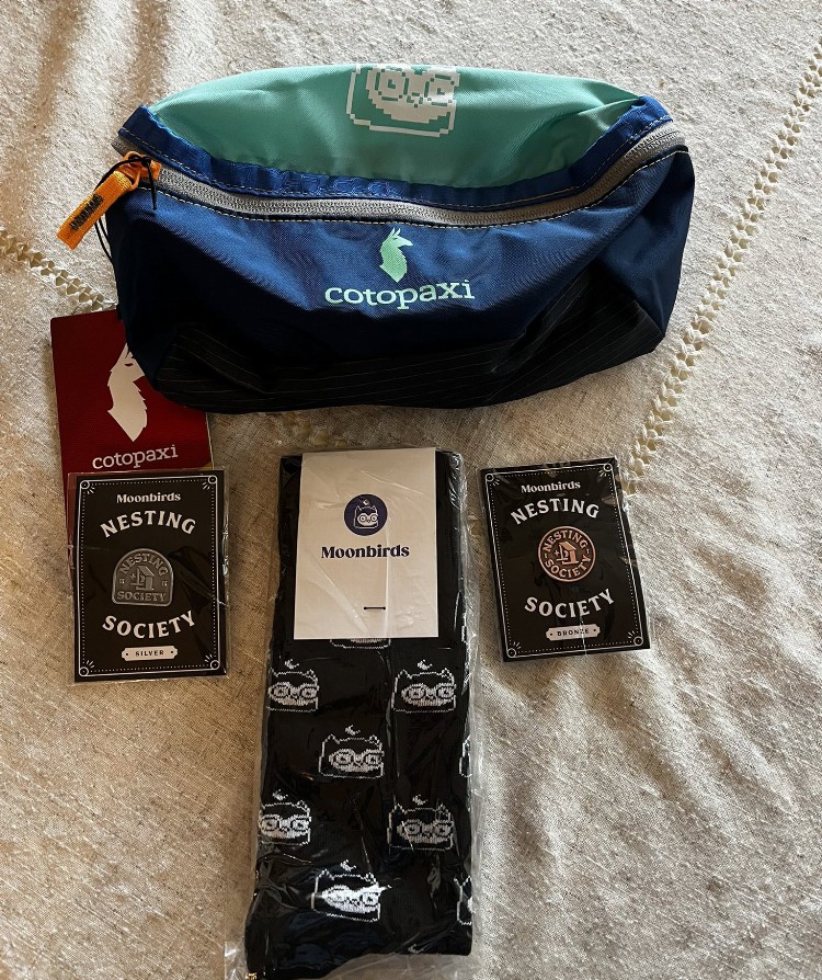 复盘Moonbirds「六宗罪」：蓝筹NFT的教训