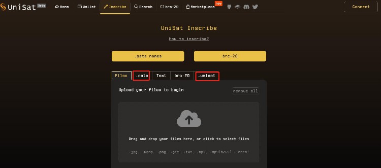 比特币域名BNS炒作热潮是机会还是风险?