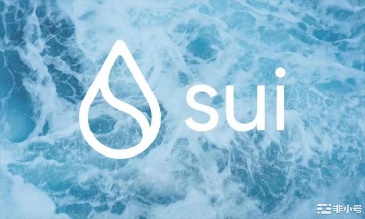 注意:在此山寨币中发现了重大漏洞!