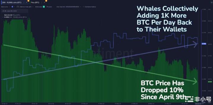 鲸鱼正在抄底BTC你还在犹豫吗？