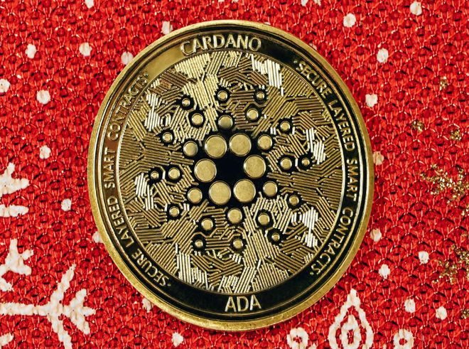 ADA长期投资者在 2023 年可以期待什么？