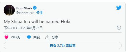 马斯克收购推特之际FLOKI在也上涨了8%；下一步是什么？