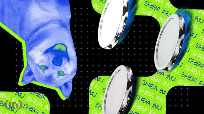 在ShibariumL2进度报告后持有人能否期待价格逆转?