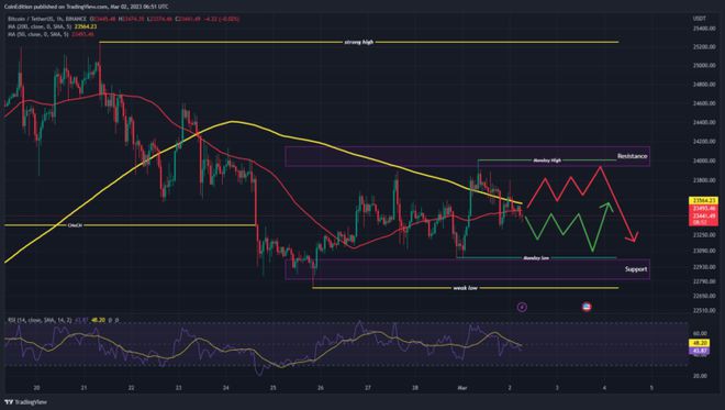 市场洞察:鲸鱼地址增加了140,000BTC的持有量