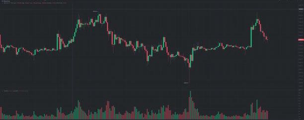 随着比特币交易量让位于山寨币出现令人担忧的迹象