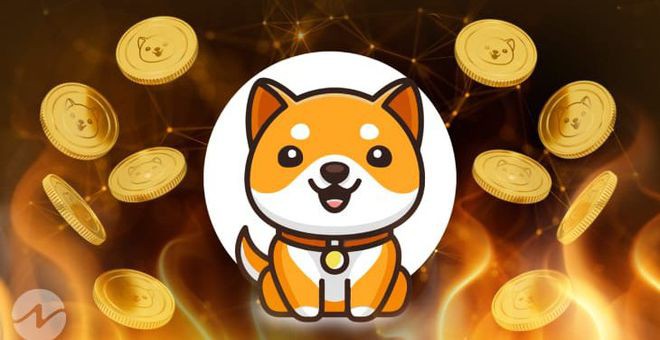 BabyDoge单月涨近300%!销毁传送门上线市值第68