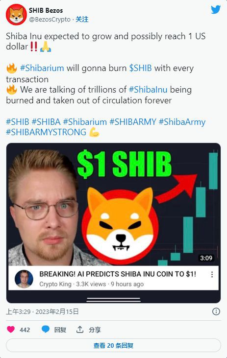 柴犬(SHIB):ShibArmy的结局是什么?