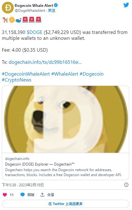 DOGE鲸鱼将数百万代币转移到未知钱包时的狗狗币怎么了?