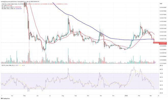 SHIB在24小时内成为交易量最大的20种代币—暴涨来了吗？