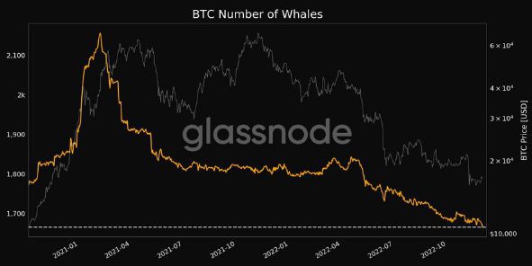 BTC鲸鱼和交易量均达到2年低点